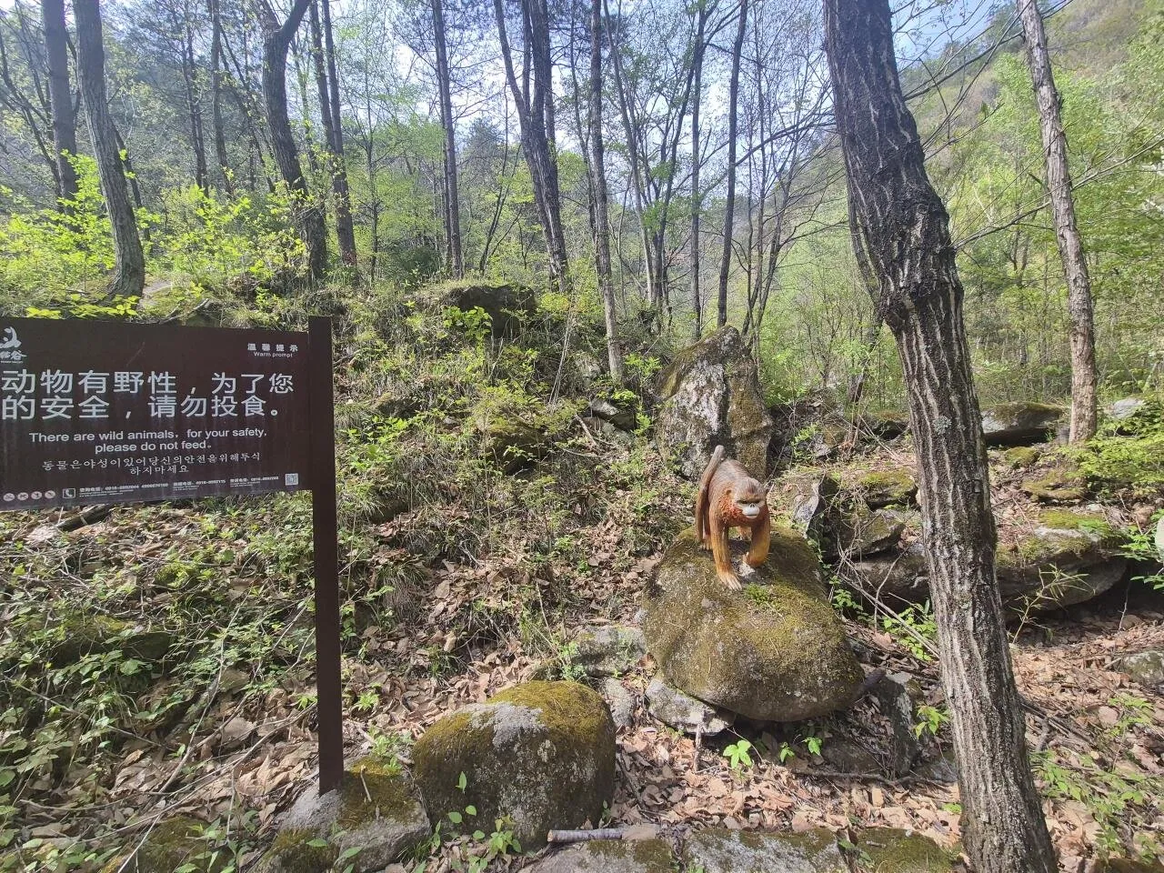 1000027513.jpg 원숭이주의) 2026 원숭이탐사 - 중국