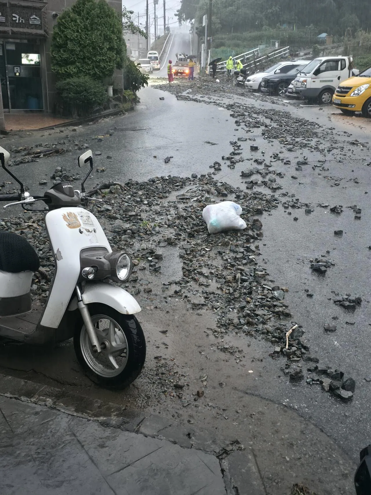 거제) 집 앞 개판 났네 진짜