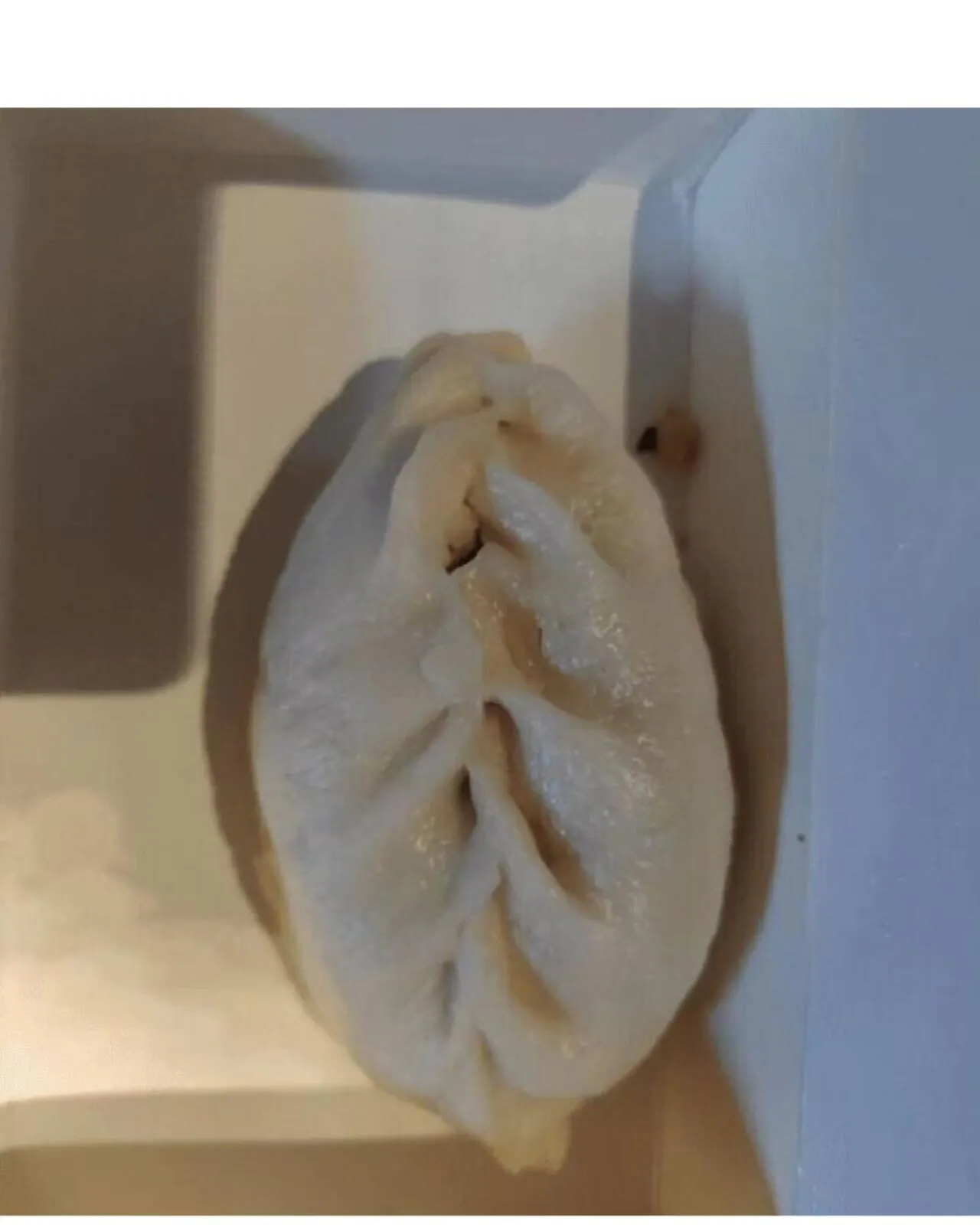 한강에서 공짜로 식사 해결하는 디시인 근황