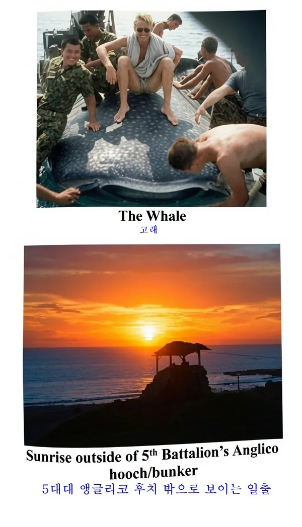 image6.jpg 베트남전 청룡부대와 함께 살기 (서태평양 사령부, 해병원정군, 제1앵글리코, 제1분견대, G.스캇 리이스)