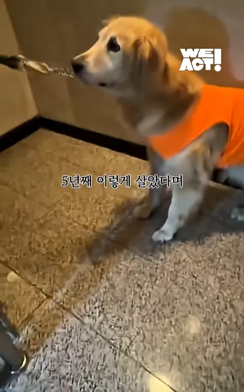 image.png ๊ฐ๋นก์ฃผ์) ํญ์ผ์ ์ฐจ ์์ ์ด๋ ๋ฆฌํธ๋ฆฌ๋ฒ