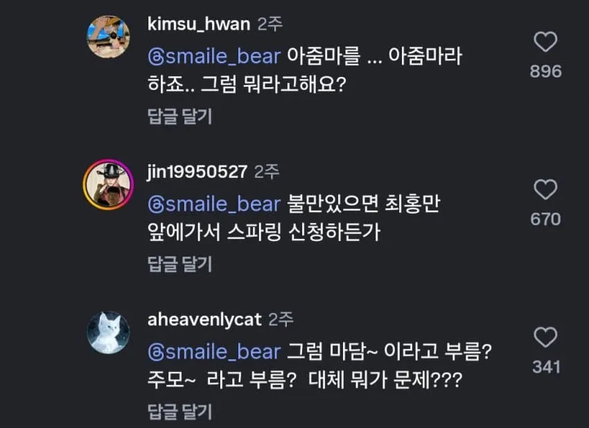 IMG_2601.webp 아줌마라고 불렀다 댓글 곱창난 영상 ㄷㄷㄷ.jpg