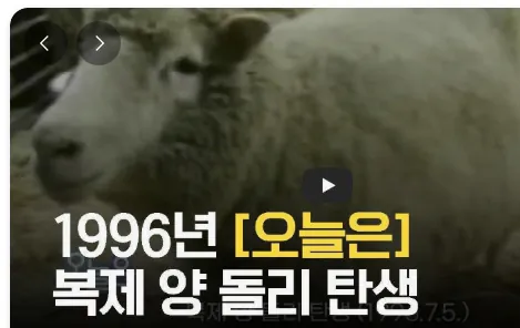image.png 영화사에서도 기이한 유독 90년대에만 쏟아진 세기말 장르