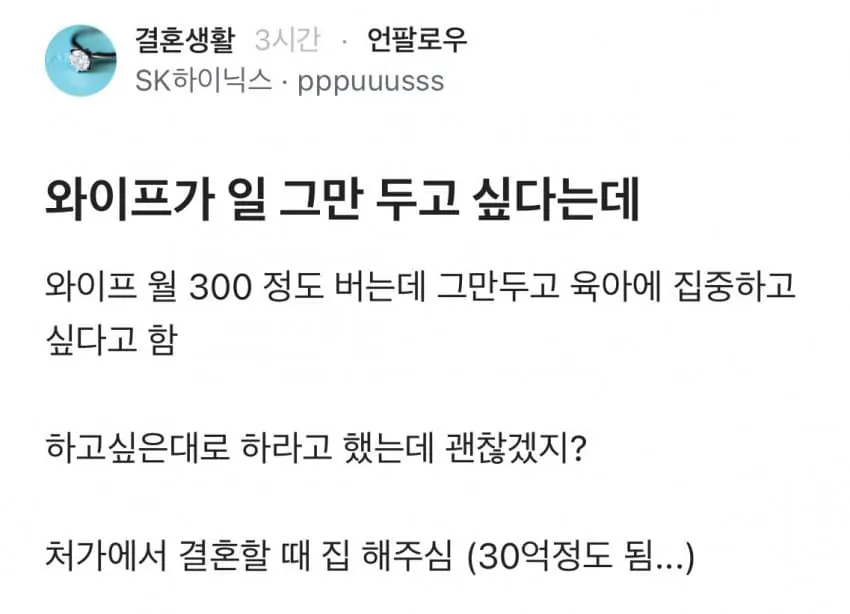 와이프 일 그만두고싶어함.jpg 일 그만두려는 와이프때문에 고민인 블라인.jpg