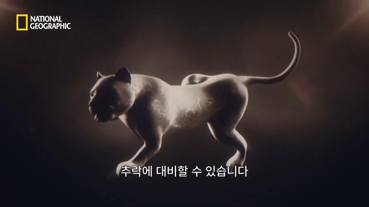 Internet_20260802_153513_25.jpeg 사냥 중 120m 절벽 아래로 떨어진 눈표범