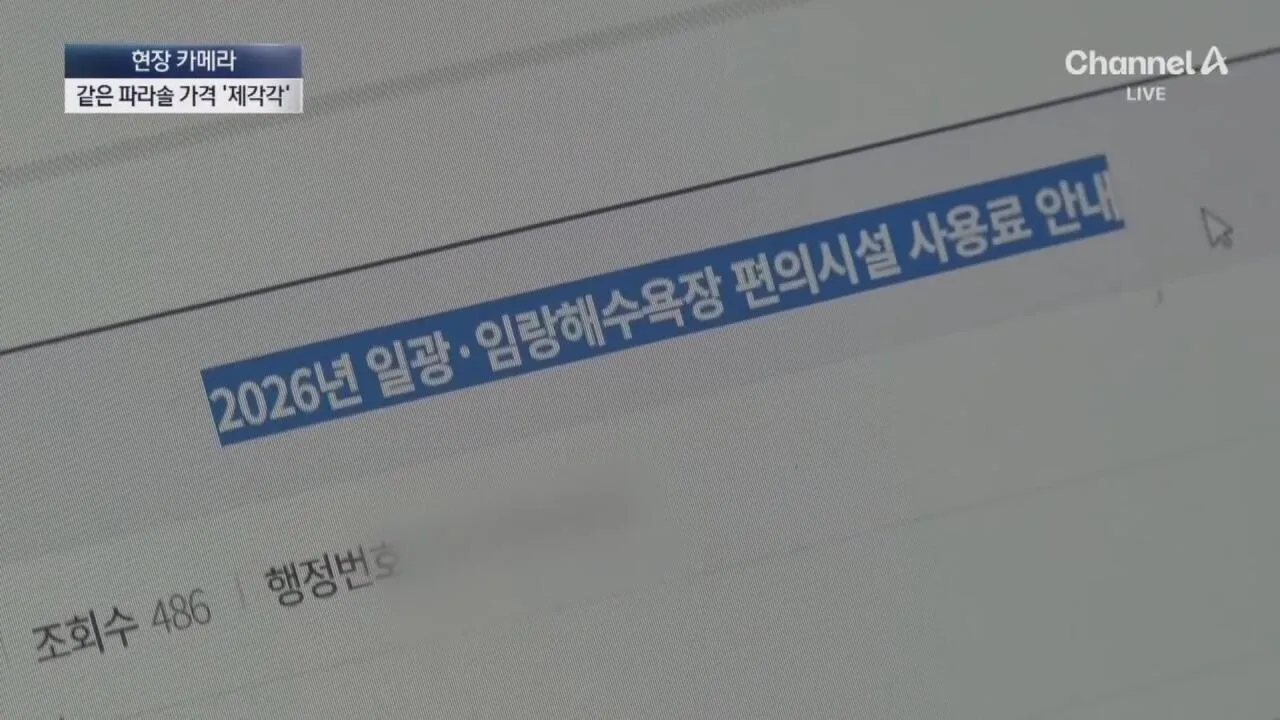 1 (8).jpg "바가지 싫으면 바다 오지마"... 정부 발표에도 여전한 바가지
