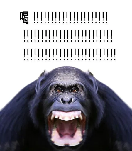 ๊ฐ.png ์๋ จ์ ๋๋ฏธ ๋์๋จน ์ฌ๊ฑด