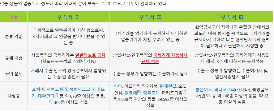 image.png 우리집에 사는 멸종위기 1급 동물 집에서 키우는 거북이가 ㅅㅅ 하면 생기는일4
