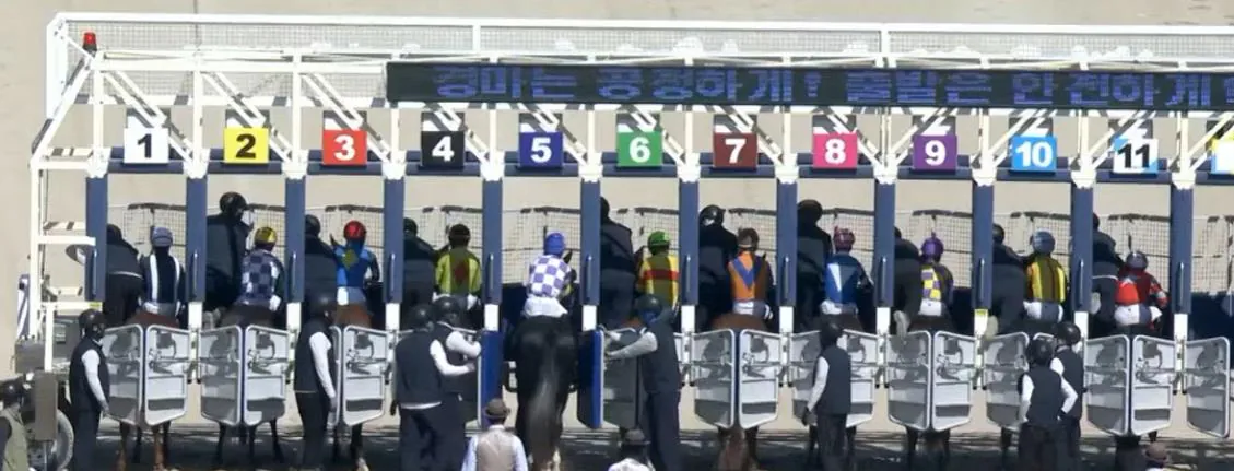 2026-10-10 12;19;58.JPG 방금 과천 경마장 초유의 사태.JPG