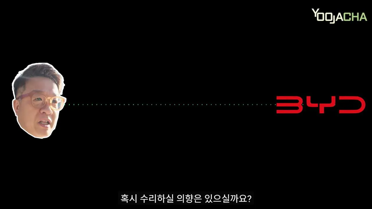6.jpg BYD 돌핀 샀다가 전손사고 난 유튜버