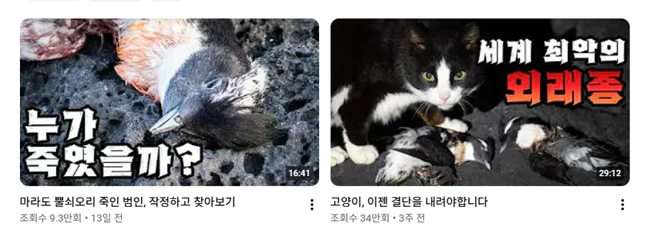 image.png 캣맘금지법? 청원 시작한 새덕후