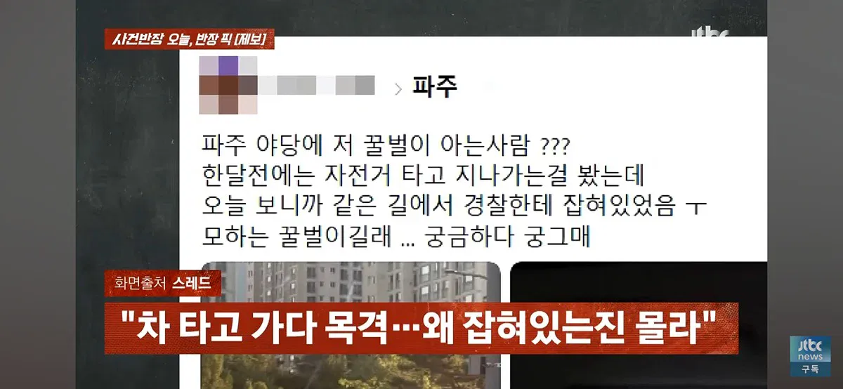 1000071656.webp 포텐간 꿀벌 인형탈 당사자 근황