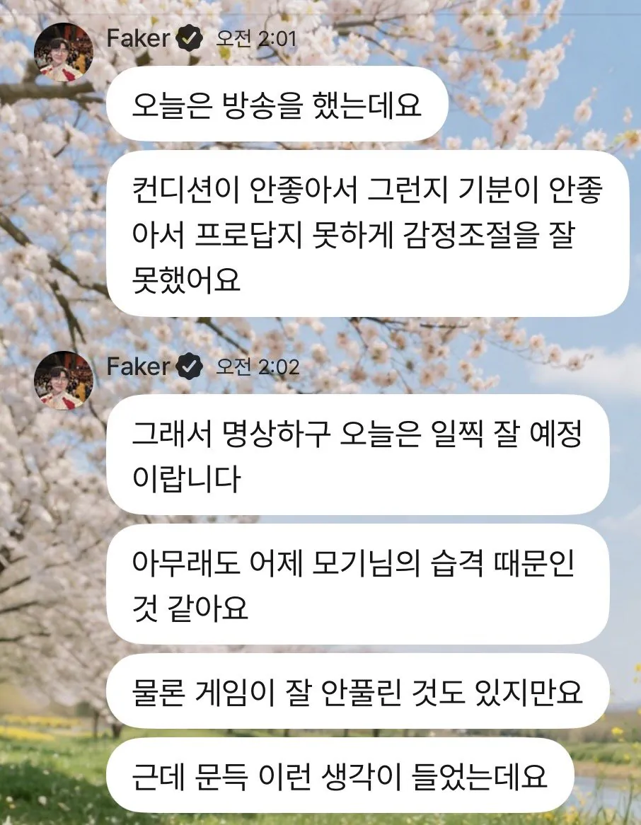 페이커 버블