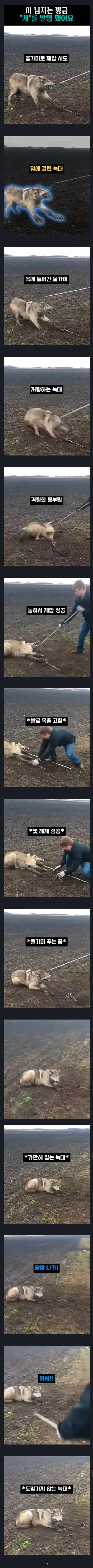 이 남자는 방금 "개"를 발명했어요