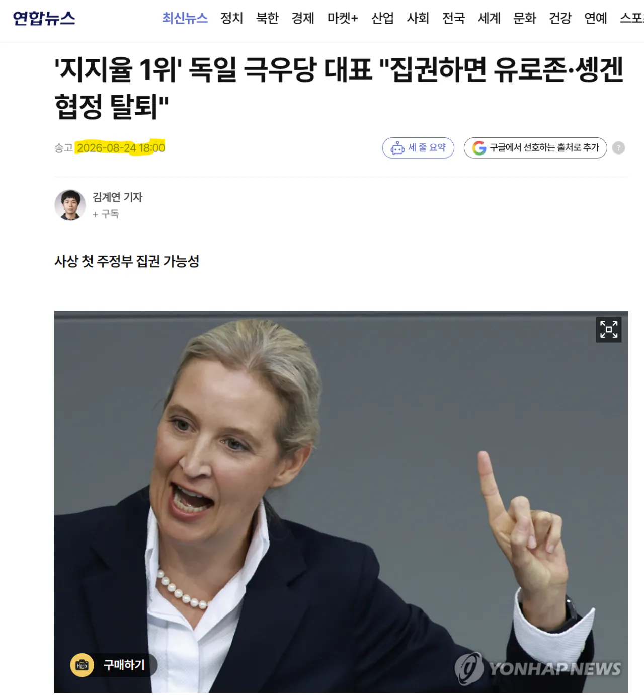 image.png 독일 극우정당 "AFD"의 등장배경
