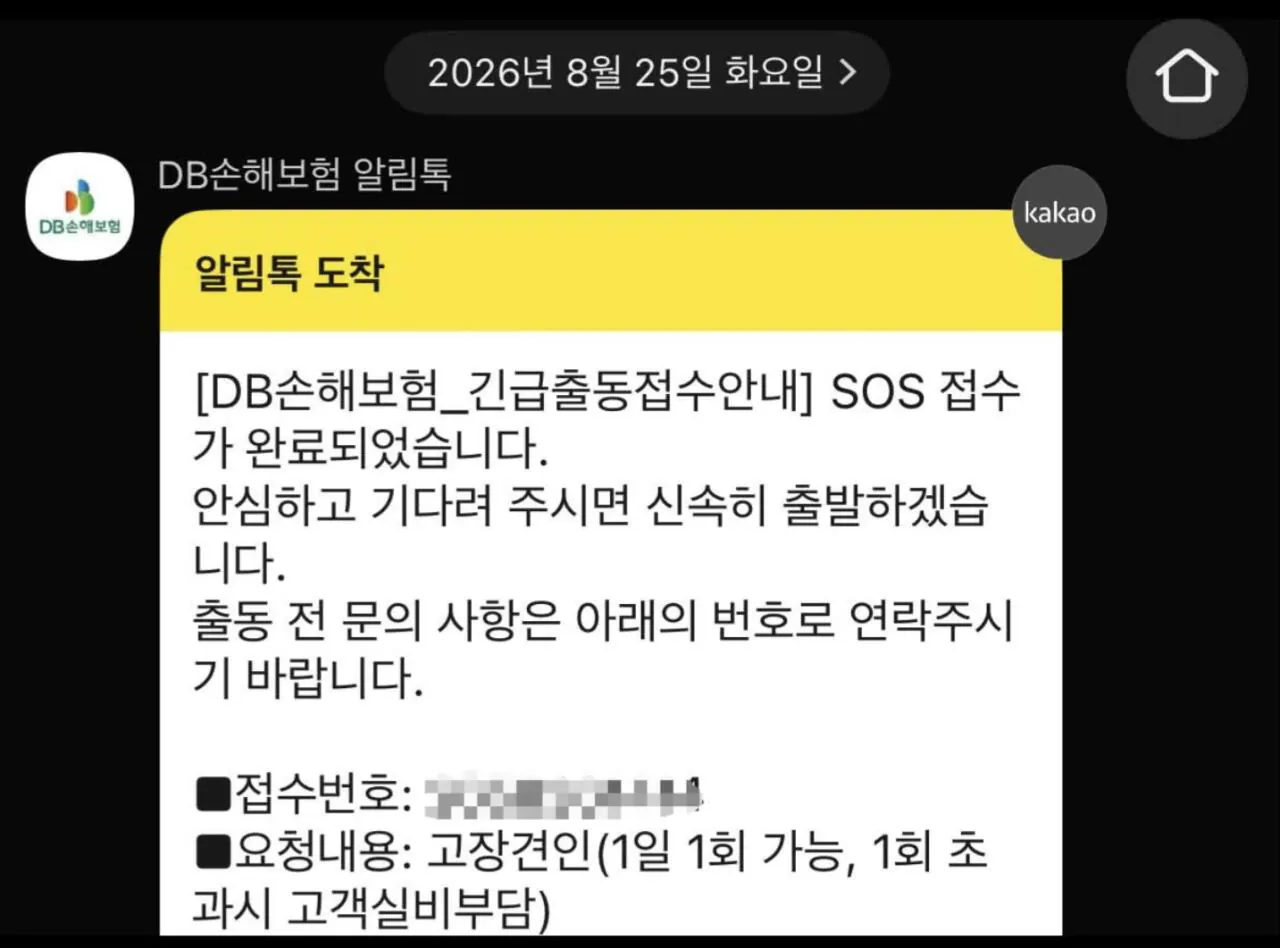 남산터널 웨딩 촬영 근황의 근황