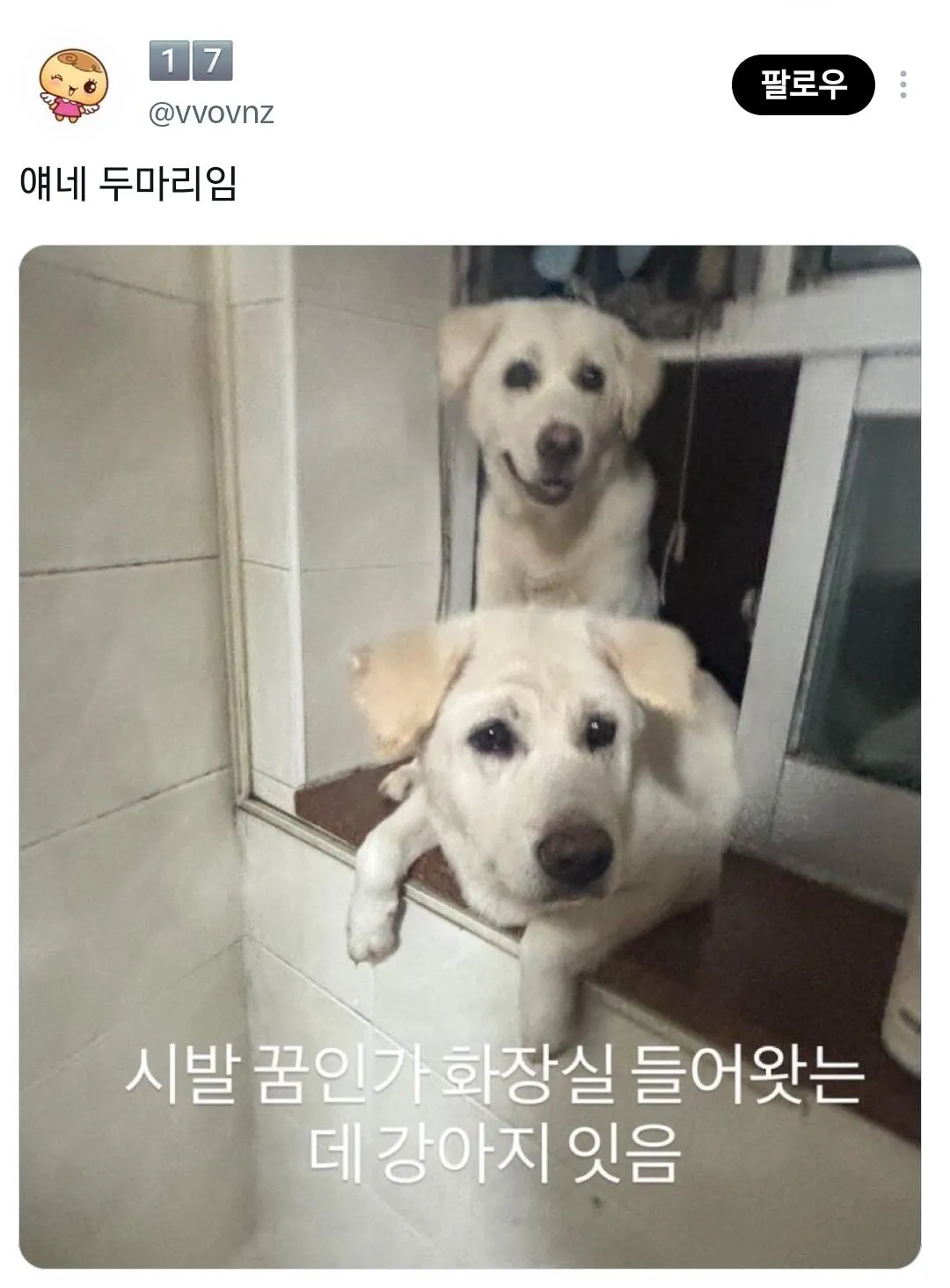 1000118492.jpg 친구 인스타 스토리 존나 비현실적