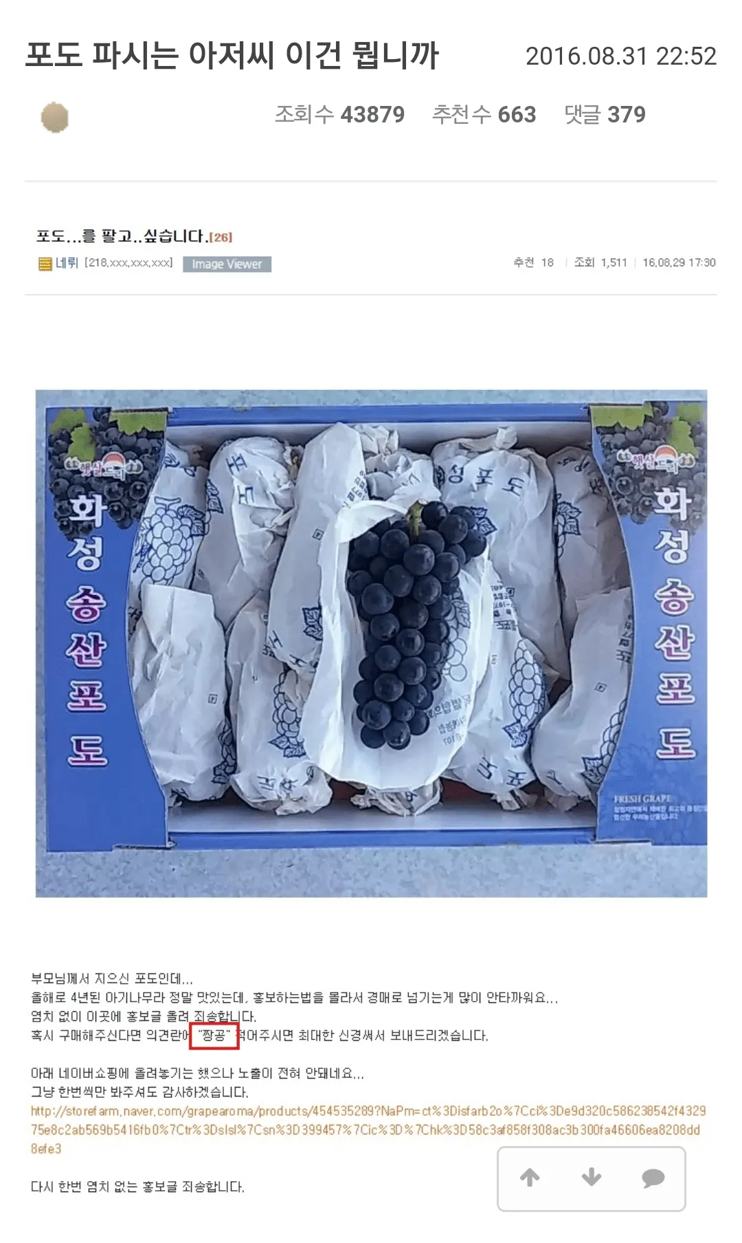포도.png 오늘로 10주년을 맞이하는 펨코 레전드 사건