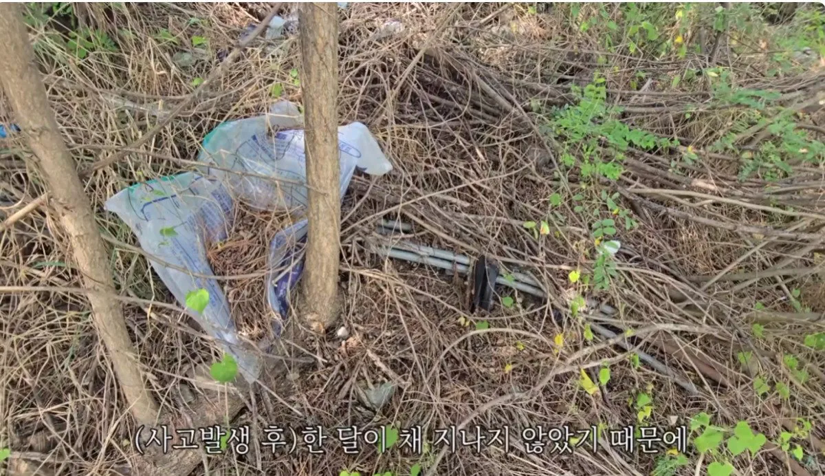 인디아나 웁스 (42).bmp.ren.jpg 스압 ) 금속탐지기로 고인의 유품을찾아준 유튜버