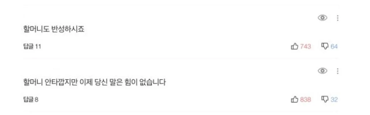위안부 할머니께 '걸레사진' 까지 보내며 조롱했던 네티즌들