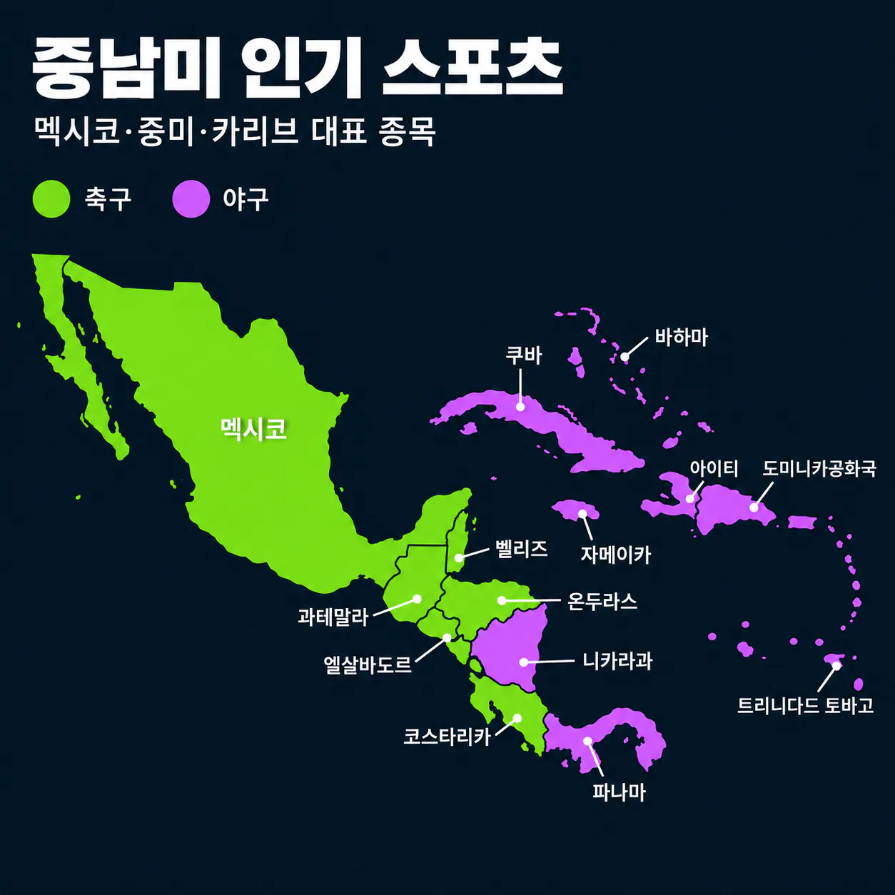 중남미.png 전세계 각국 인기 프로리그 스포츠 현황.sports