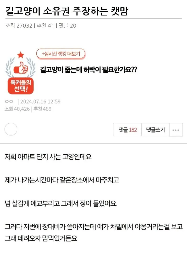 길고양이 소유권 주장하는 캣맘