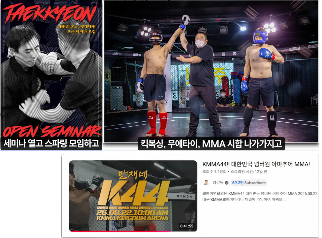 image.png "하나의 유령이 택견계를 배회하고 있다. 윗대태껸이란 유령이."