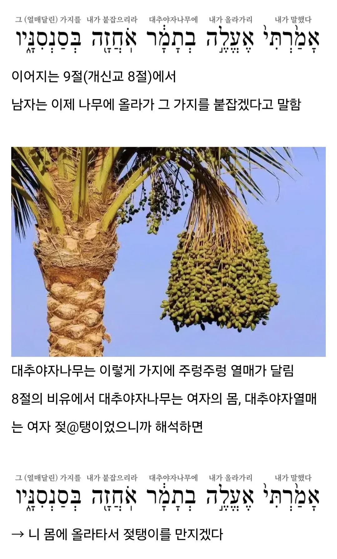 Screenshot_20260714_164441_Samsung Browser.jpg 지혜의 왕 솔로몬 여성 취향.jpg