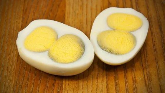 double-yolk-eggs-feature-min.jpg (매우 희귀한) 2마리 병아리가 한 개의 달걀에서 태어나는 케이스