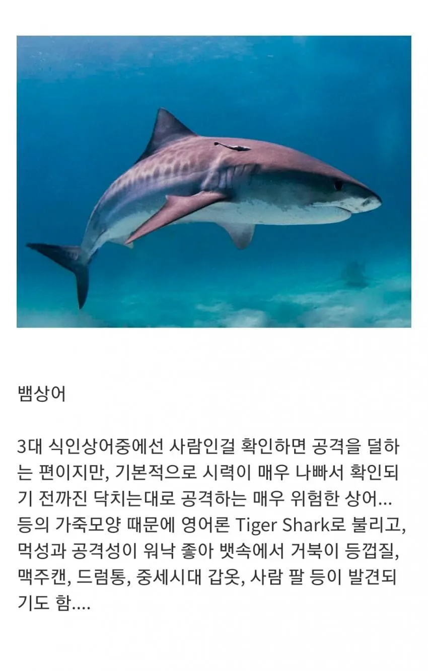 1790513748.jpg 인지도는 최고 수준인데 정작 알려진 건 거의 없는 생물