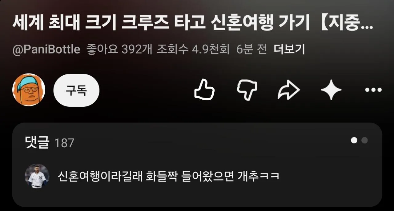 유튜버 빠니보틀 여자친구 공개 와 신혼여행 컨덴츠