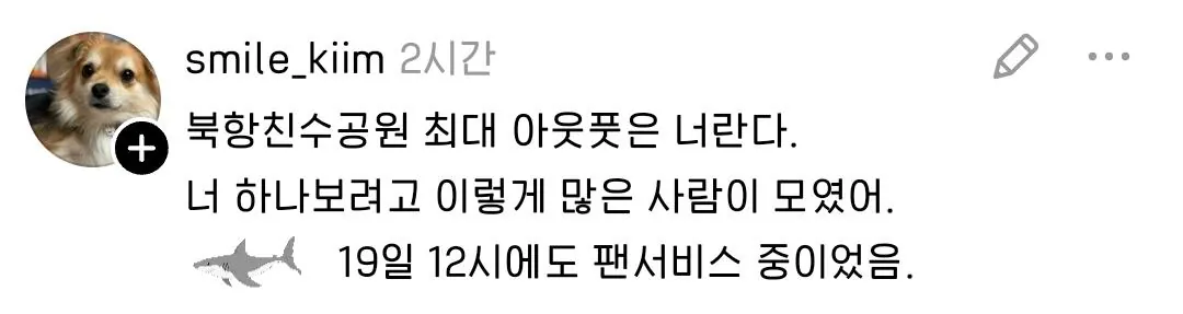 2.jpg 꼬리치는 상어햄 팬서비스에 몰려든 부산사람들