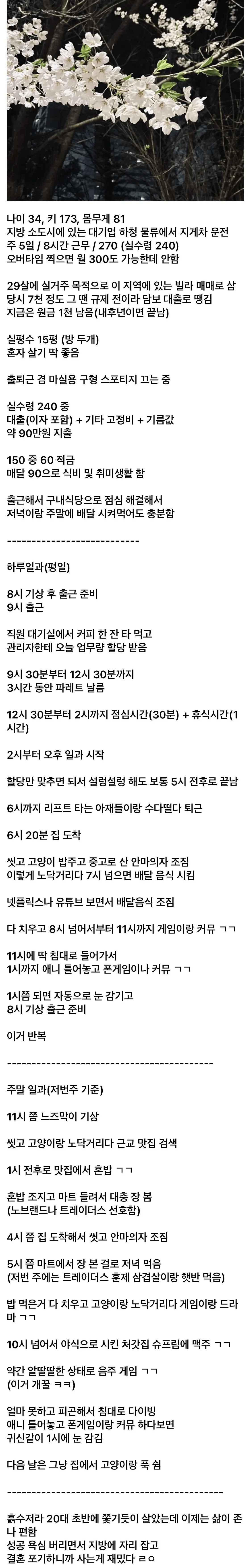 image.png 결혼 포기했다는 30대 디시인의 삶