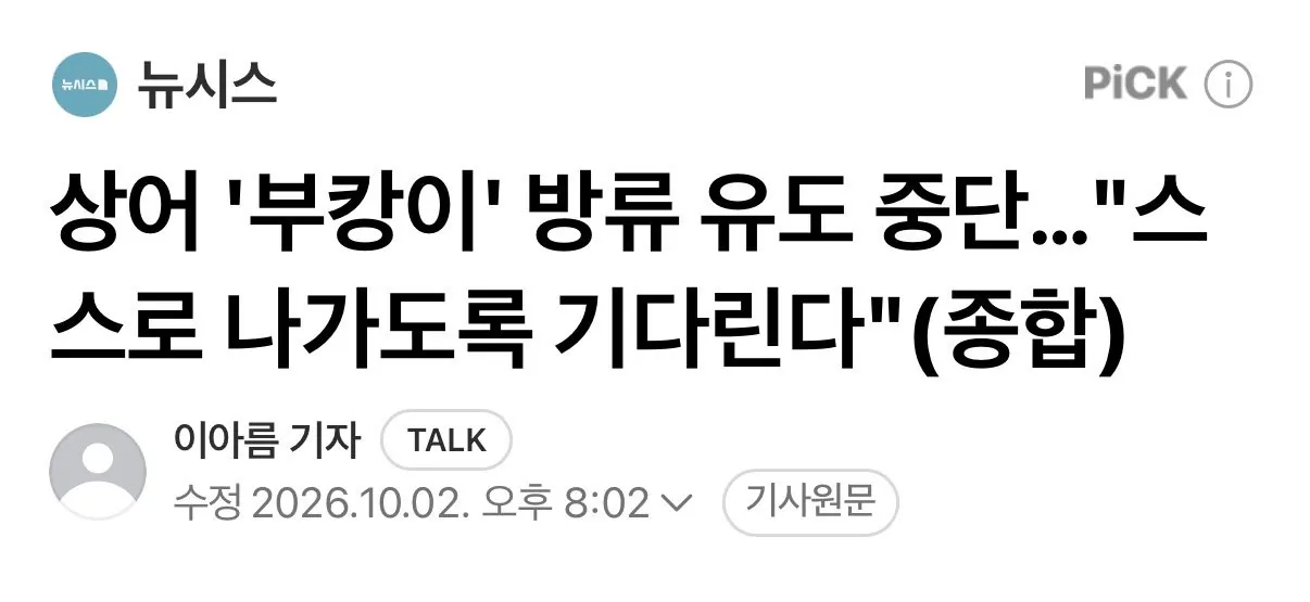 상어 '부캉이' 방류 유도 중단…"스스로 나가도록 기다린다"