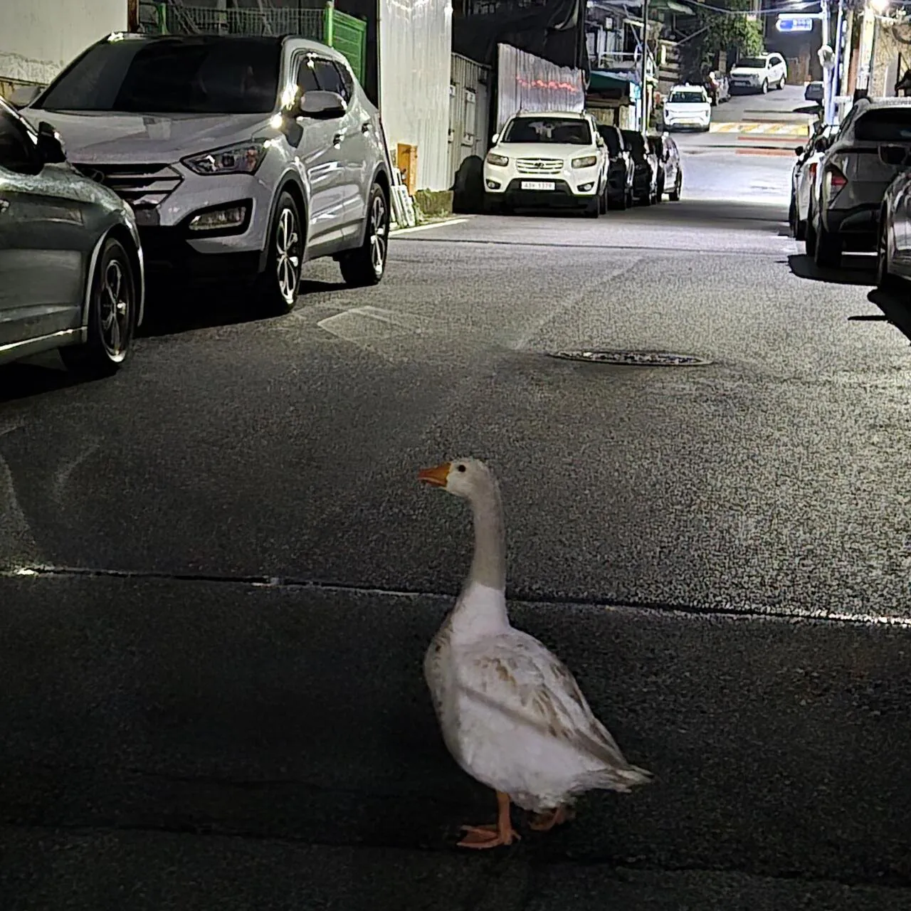 1001993748.jpg 실시간 펨붕이) 이거 뭐냐? ㄷㄷㄷ