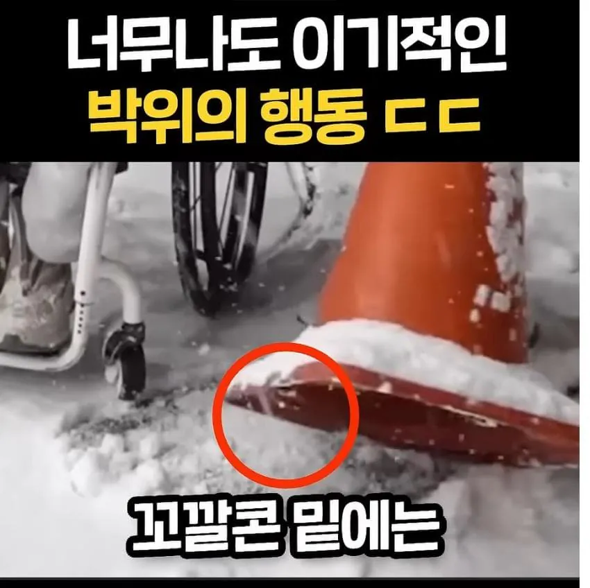 1790007009 (1).jpg 너무 이기적이라고 논란중인 박위