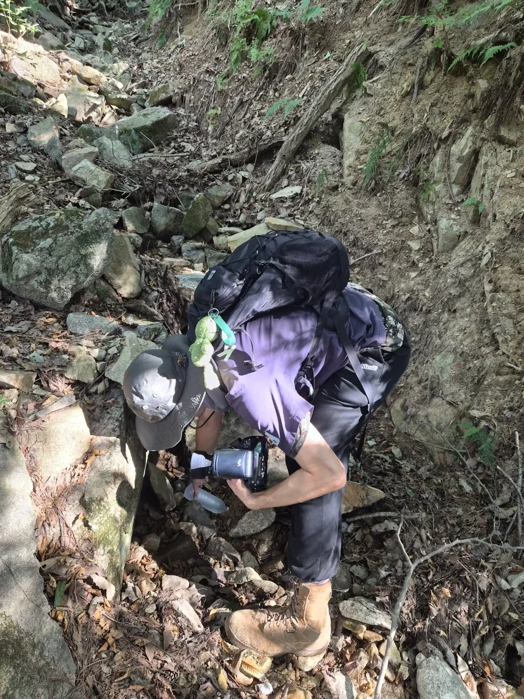 1000028989.jpg 혐주의) 제주도롱뇽 찾아보기