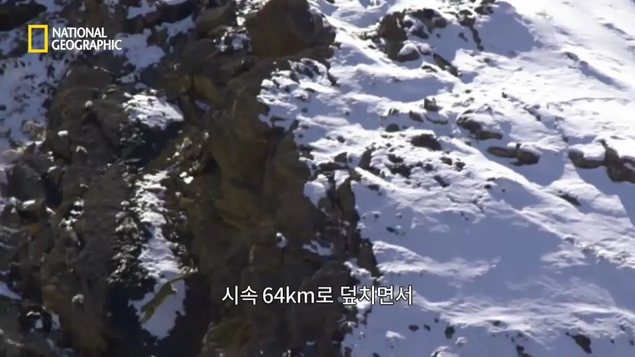 Internet_20260802_153513_18.jpeg 사냥 중 120m 절벽 아래로 떨어진 눈표범