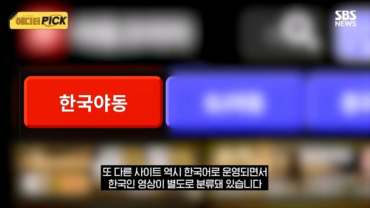 한국 야동 사이트 해킹해서 사이트 폐쇄까지 고려하고 있다는 한국 정부