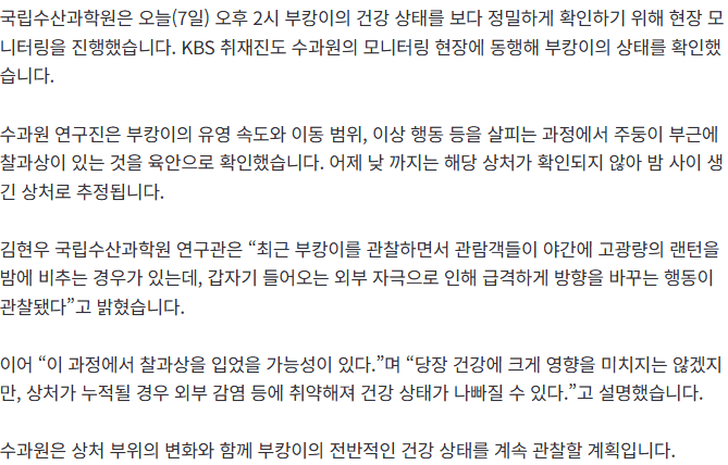 20261007_154705.png [단독] 상어 ‘부캉이’ 주둥이에 찰과상 발견돼…“강한 랜턴에 행동 급변”