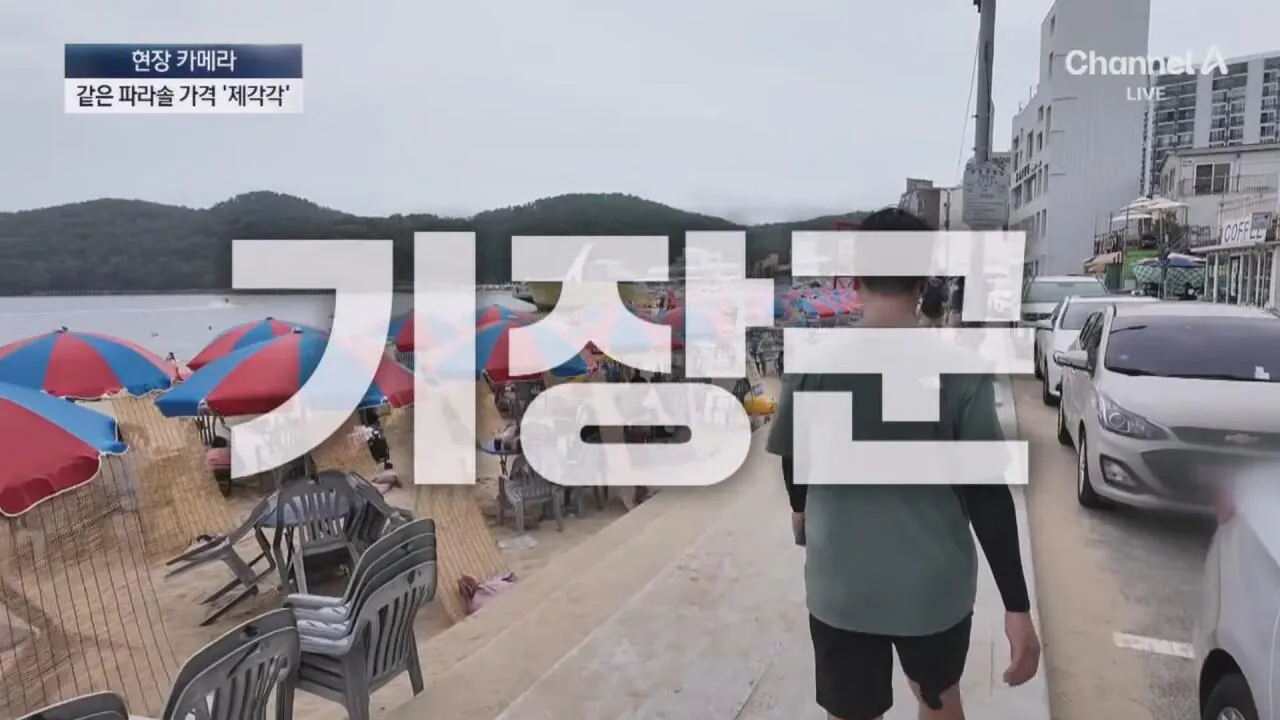 1 (2).jpg "바가지 싫으면 바다 오지마"... 정부 발표에도 여전한 바가지