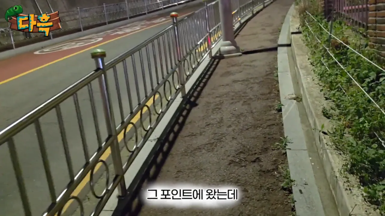 fce25a86902018acc62813d419e43552.png (약혐) 최근 부산에 자생한다는 거대돈벌레 ㄷㄷ
