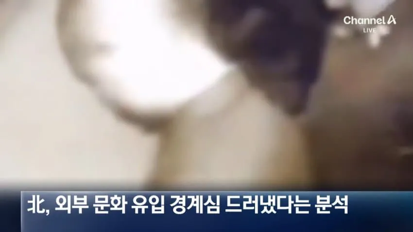 "한국 드라마 본 것 후회" 처벌 받고 흐느낀 북한군…영상 보니