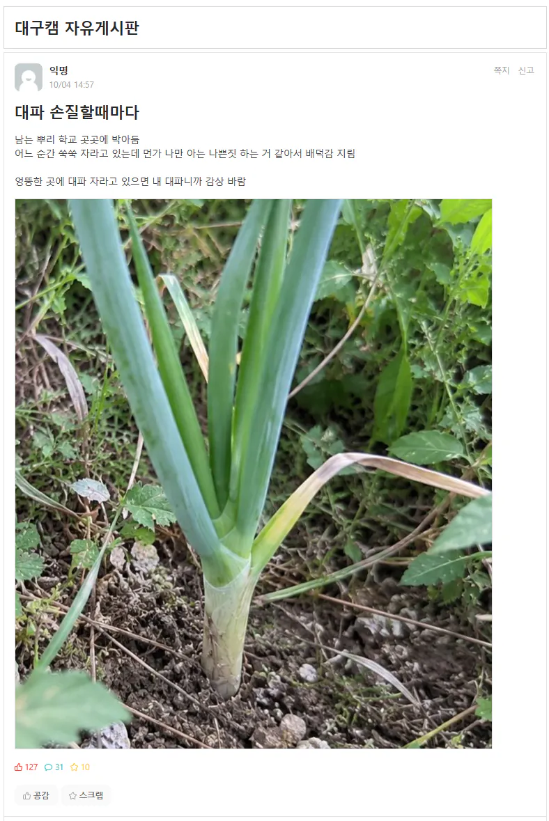 image.png 남은 대파를 학교에 처리하는 사람 ㄷㄷㄷㄷ