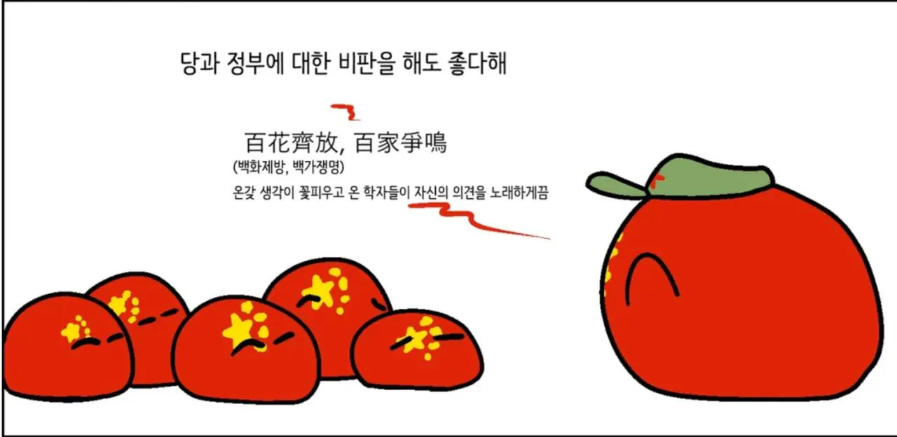1000109093.jpg 폴란드볼) 중국이 국민들에게 언론과 비판의 자유를 주는 이유