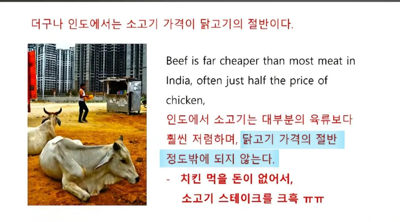 1000121564.jpg 인도에서 소고기 가격이 닭고기보다 50% 저렴한 반값인 이유