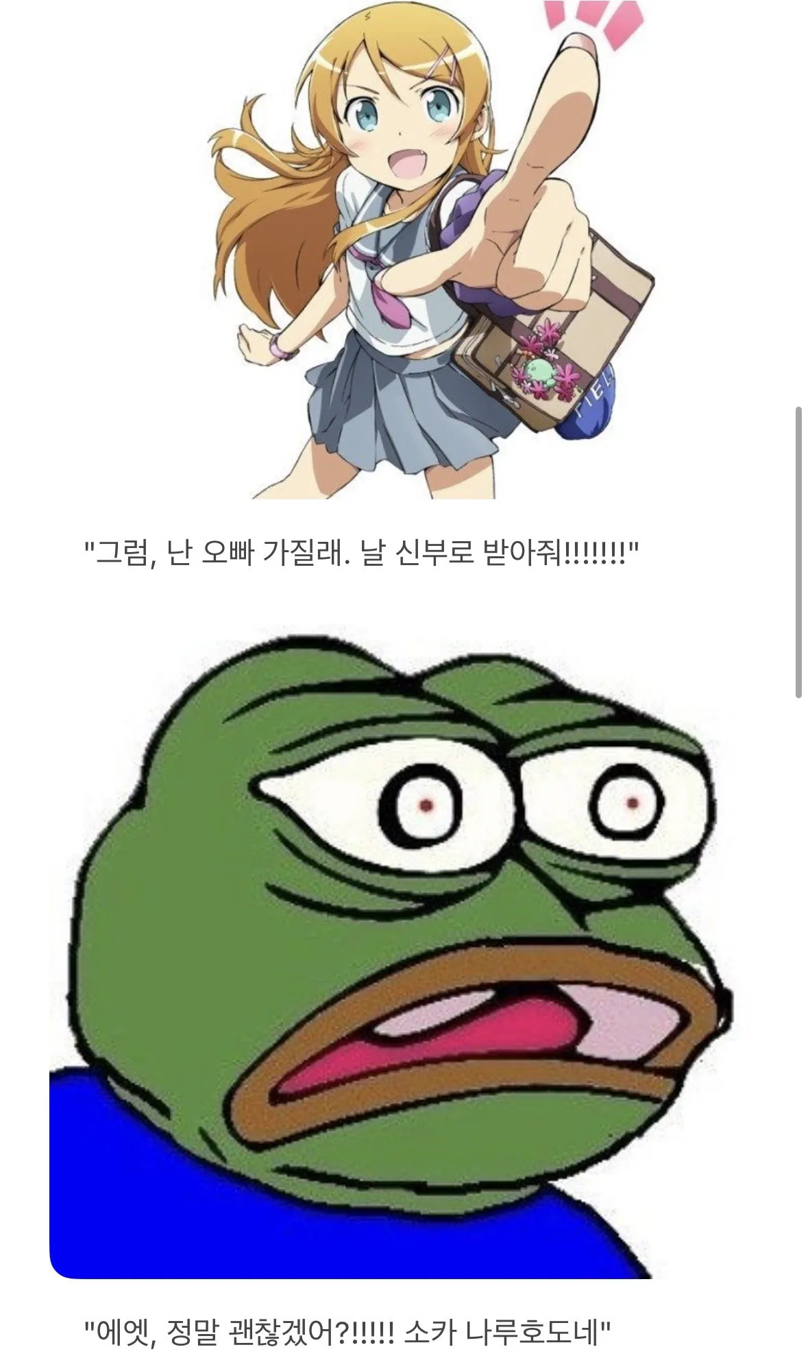 하.. 우리학교 좆망했다