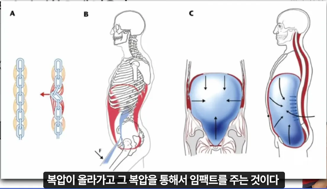image.png 대한민국을 40년간 가스라이팅한 레전드 사기꾼을 Araboja
