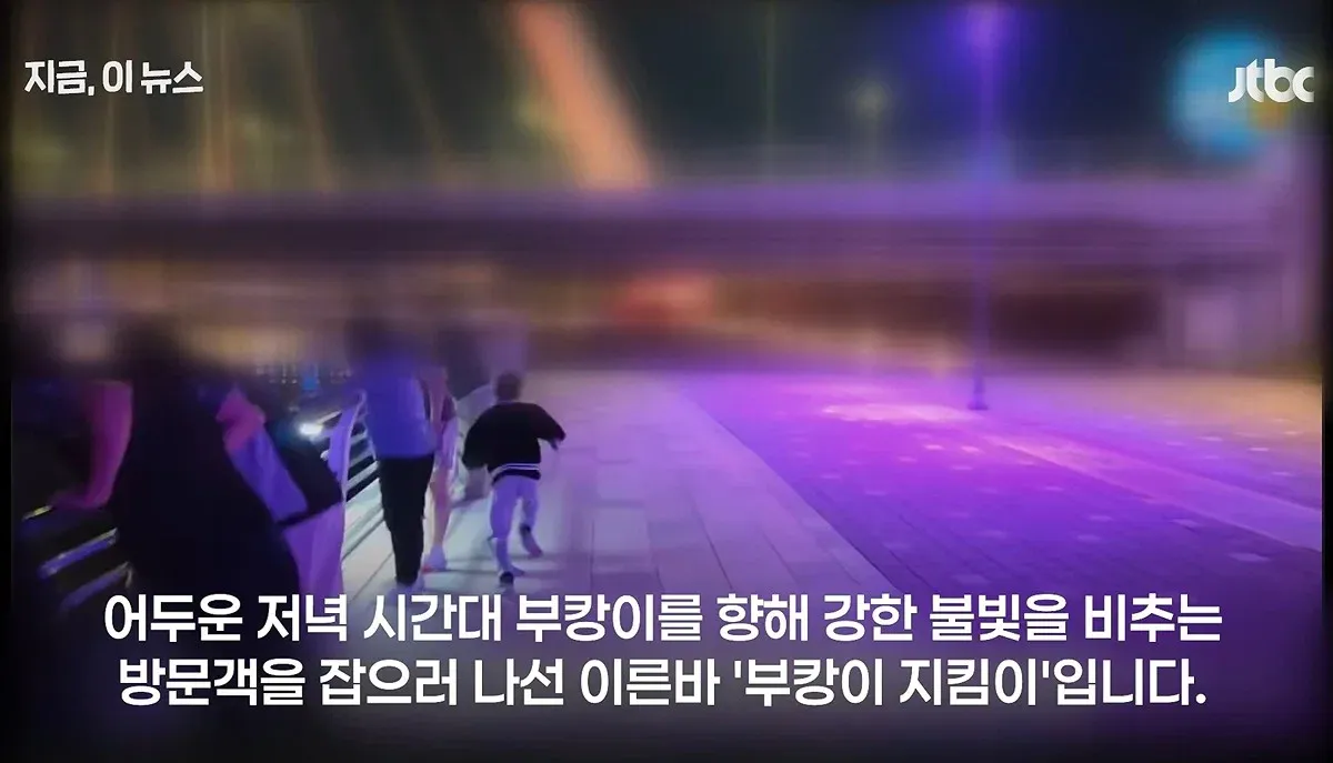 2.webp 이것마저 역시 부산답다는 말 나오는 부캉이 방범대