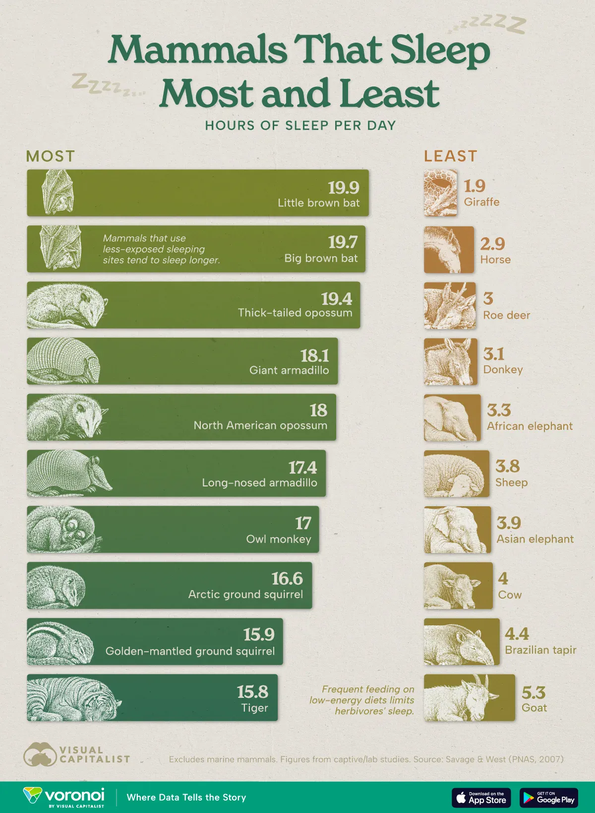 mammalsthatsleepmost-least-web.webp ๊ฐ์ฅ ๋ง์ด ์๊ณ ๊ฐ์ฅ ์ ๊ฒ ์ ์๋ ํฌ์ ๋ฅ